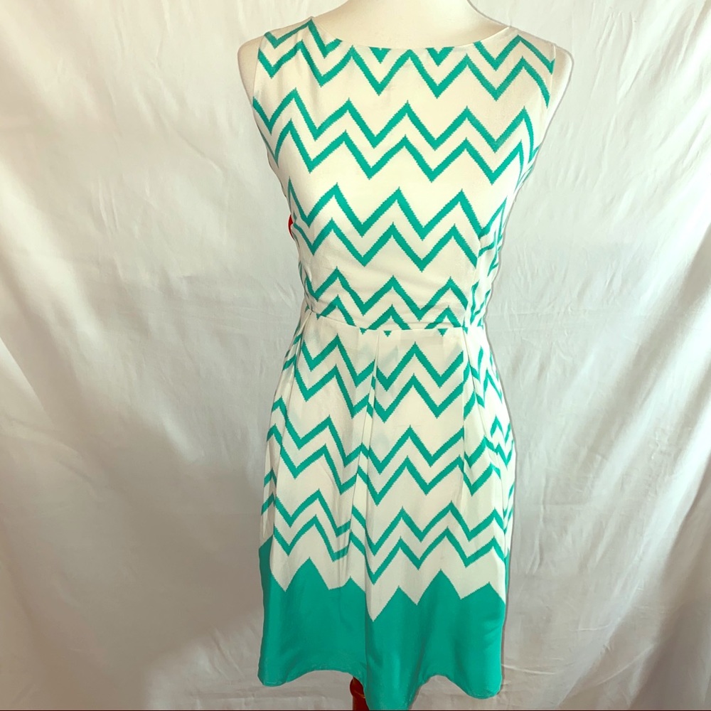 Pink Owl Fit & Flare Dress